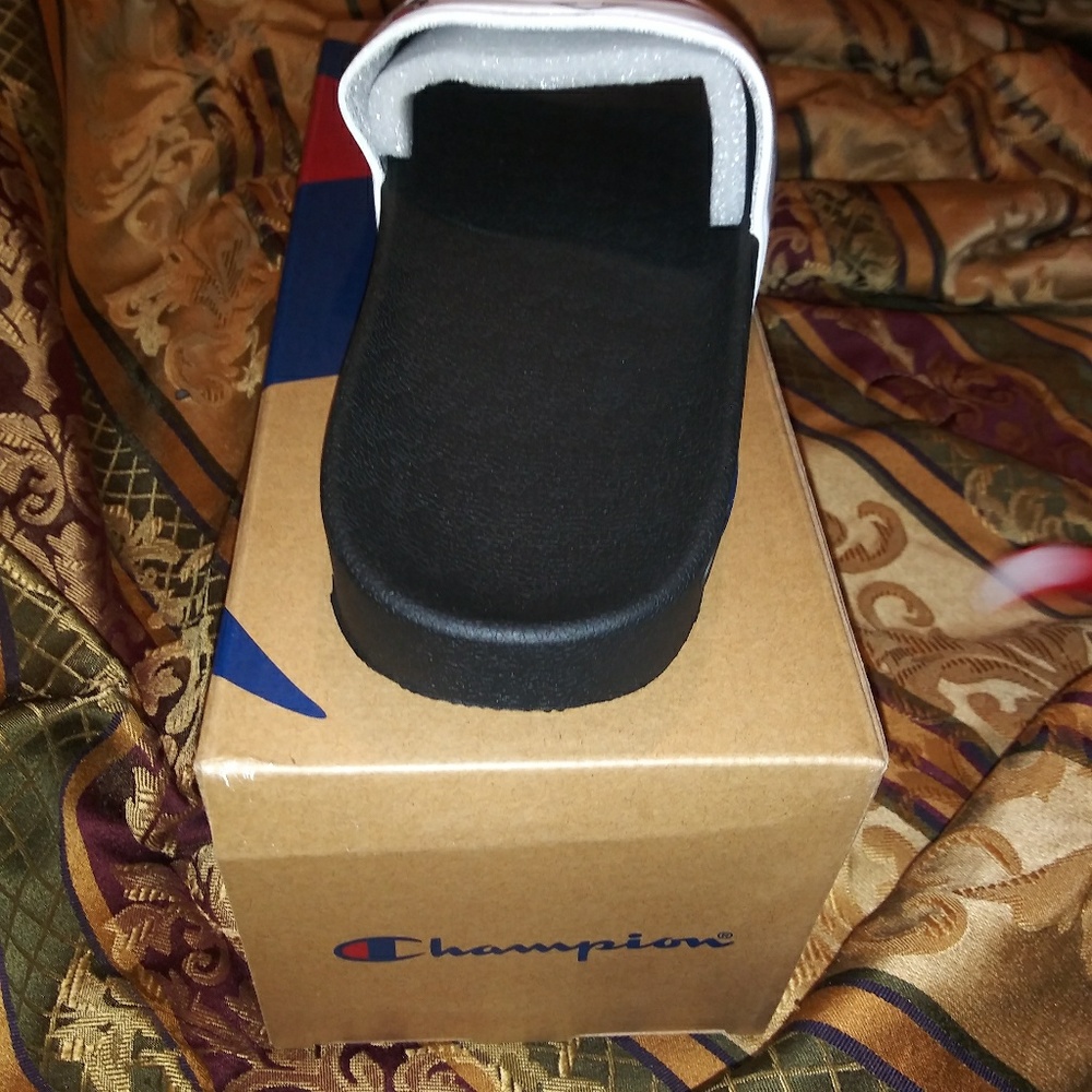 CHAMPION SLIDES